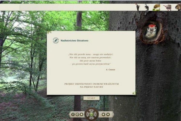 Nowa prezentacja Nadleśnictwa Strzałowo