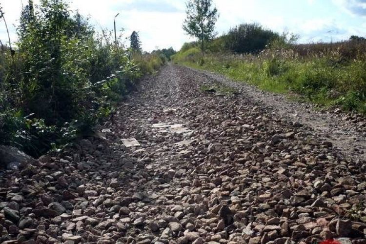 Elbląg nie odpuszcza