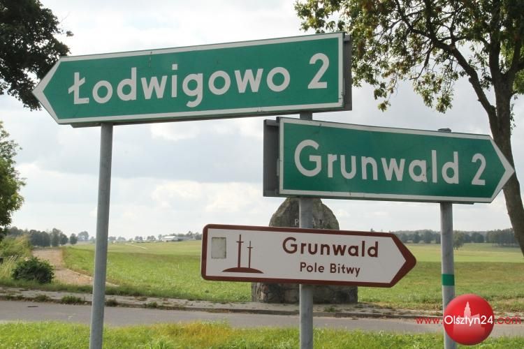 Przydrożne aleje objęte pilotażowym programem
