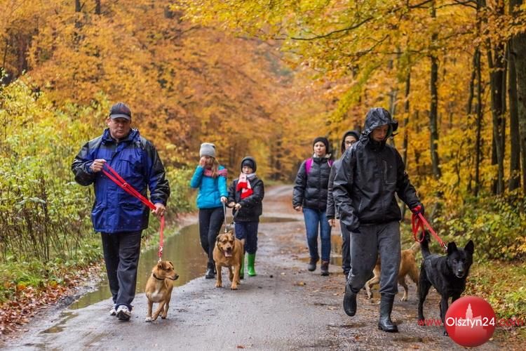 W Tomarynach pobiegli na sześć łap