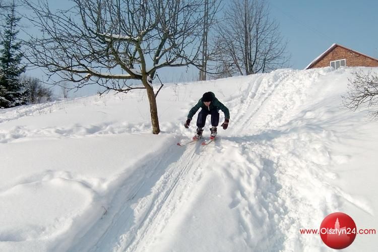 Poszusują i zagłosują