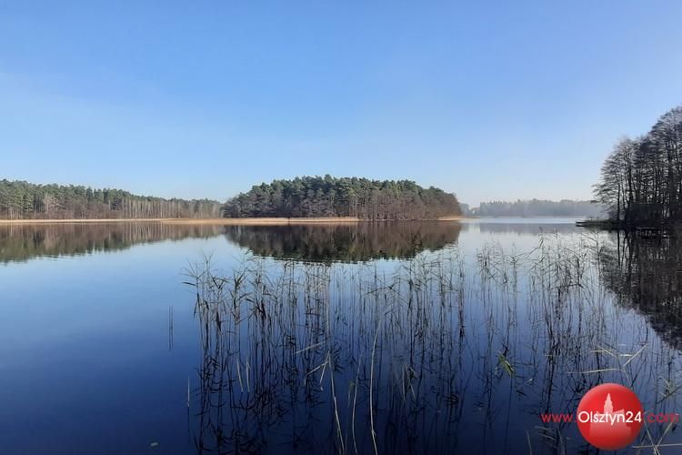 Jutro mija termin składania sprawozdań