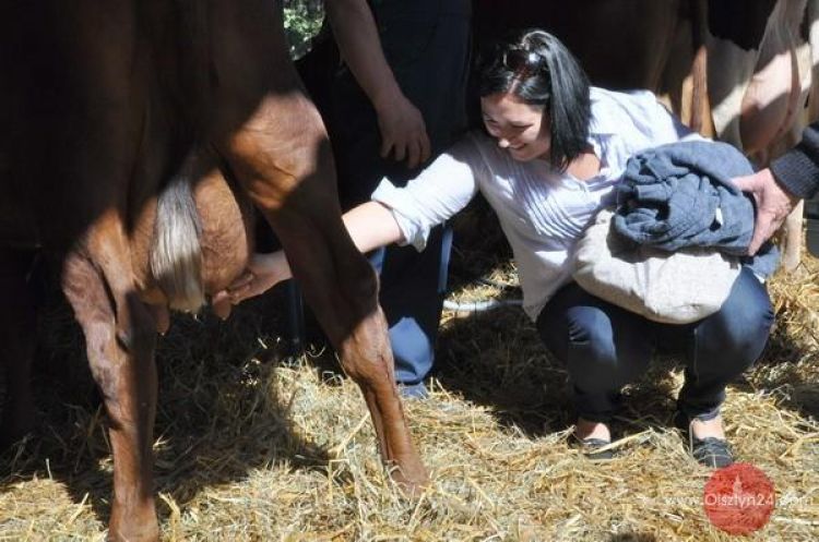 Wystawa rolnicza w Olsztynie