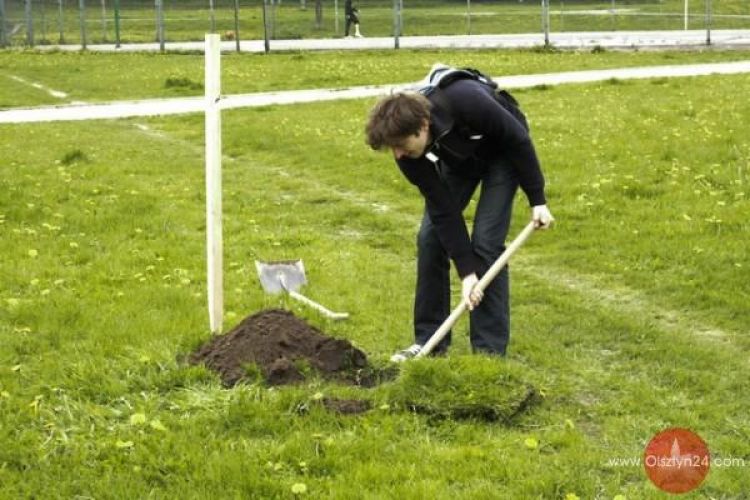 Kolejne 5 dębów w parku Kusocińskiego