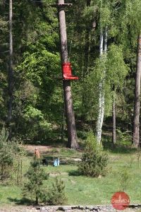 „Olsztyn. Aktywnie!” w Leśnym Parku Linowym