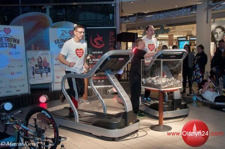 Kilometrowa Orkiestra w Alfie