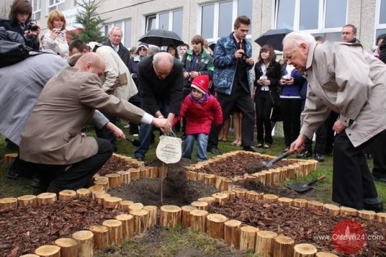 Dęby Pamięci trafiły do szkół i przedszkoli