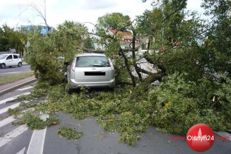 Spróchniałe drzewo runęło na forda