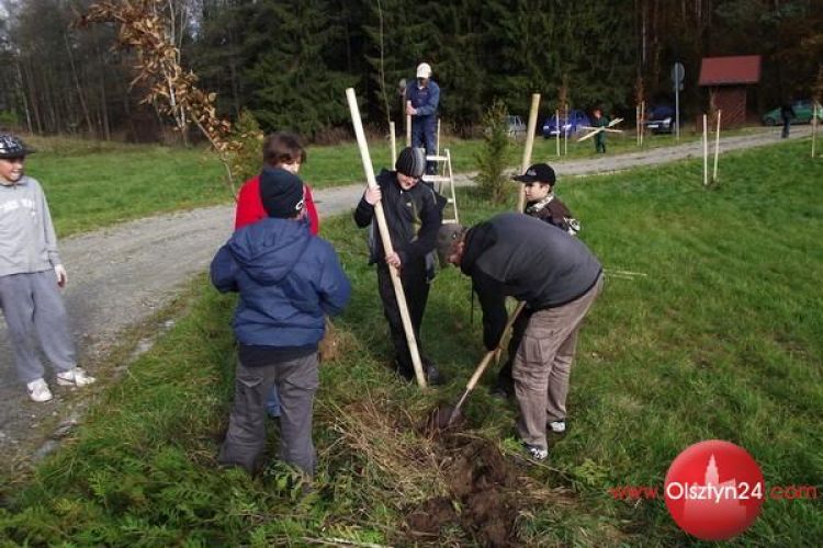 Pomagały sadzić drzewa