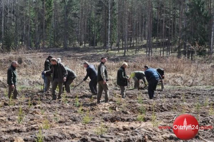 Czas wielkiego sadzenia