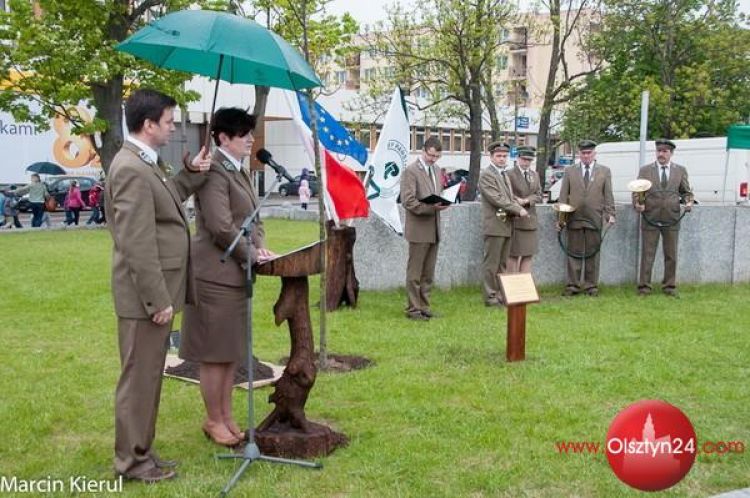 Dąb Wolności od dziś rośnie na Placu Solidarności