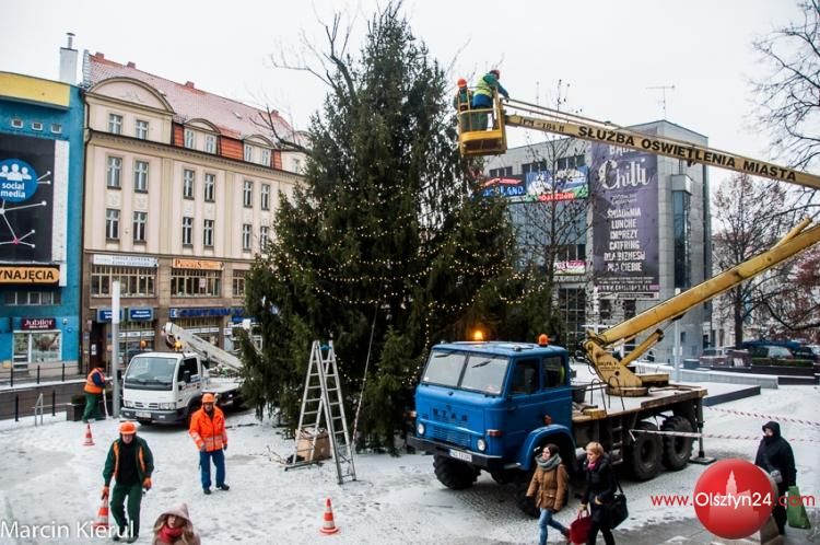 Miejska choinka stoi już pod ratuszem
