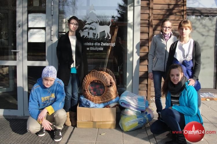 Na Dajtkach zebrali wyprawki dla bezdomnych zwierząt