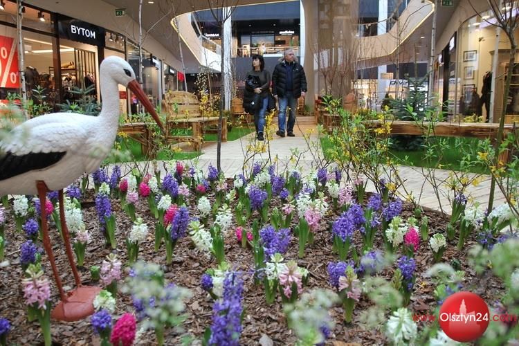 W Galerii Warmińskiej już wiosna