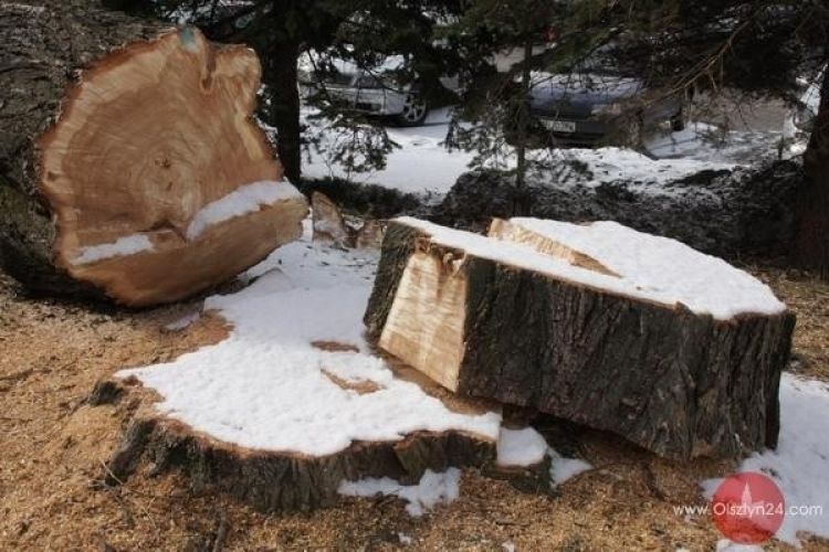 Drewno opałowe dla dwóch instytucji w Gołdapi