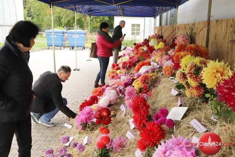 VII Olsztyńska Wystawa Dalii dobiegła końca