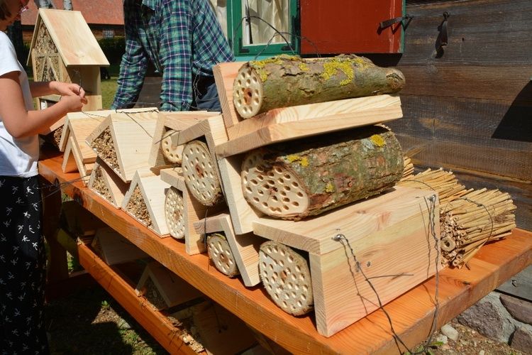 W olsztyneckim skansenie powstało „Ziołowe królestwo dzikich pszczół”