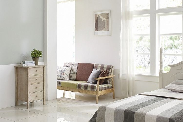 Plisy – wszystko, co powinieneś o nich wiedzieć