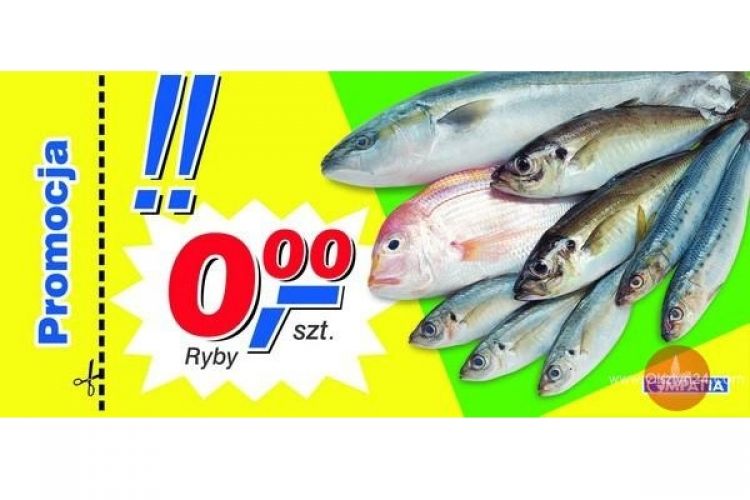 Dzień Ryby w Olsztynie