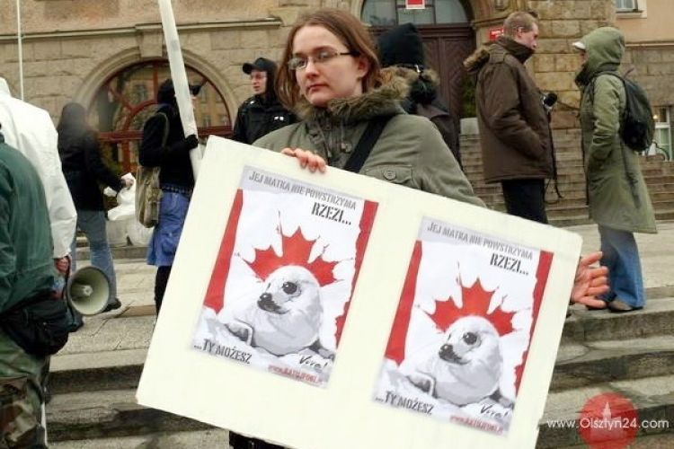 Viva! na ratunek fokom!