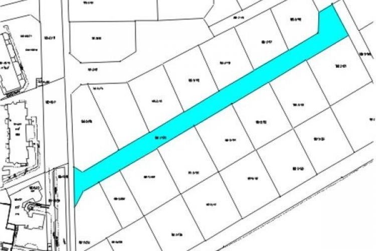 Dziennikarka wśród generałów?