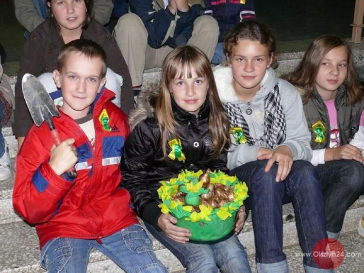 Zasadzili żonkile na „Polu Nadziei”