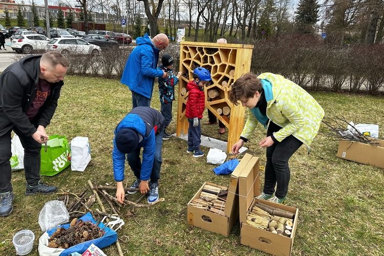 Hotel dla owadów zainstalowano na Osiedlu Grunwaldzkim w Olsztynie