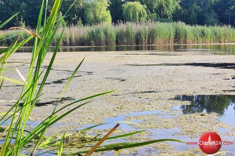 Jezioro Długie do oczyszczenia. Prace odbędą się po raz trzeci