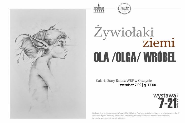 Wojewódzka Biblioteka Publiczna w Olsztynie zaprasza na wernisaż wystawy Olgi Wróbel pt. „Żywiołaki ziemi” 