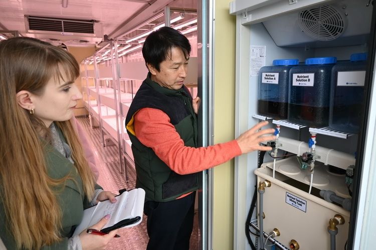 Bank Żywności uruchomił kontener do uprawy roślin w systemie hydroponicznym