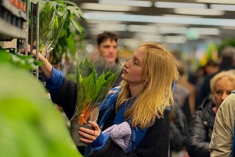 Jesienna edycja Festiwalu Roślin w Olsztynie!
