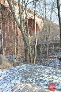 Ciąć czy nie ciąć?