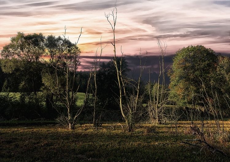 Wystawa fotografii Niezależnej Grupy Twórczej Olsztyńskich Fotografików od czwartku w WBP