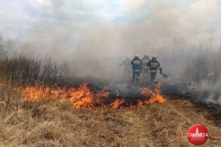 Strażacy z Warmii i Mazur wesprą kolegów z Podlasia w walce z pożarem w Biebrzańskim Parku Narodowym