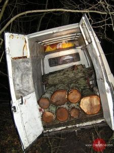 Kradzieże drewna to ciągle plaga