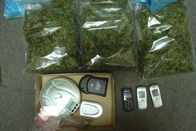 Zlikwidowali uprawę marihuany