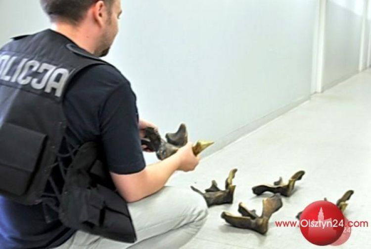 Wolne Ptaki wrócą na Aleję Gwiazd