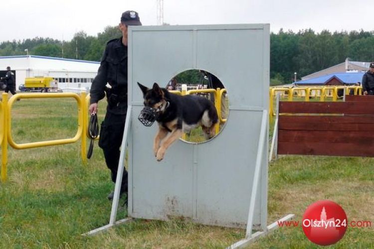 Policyjne psy na start!