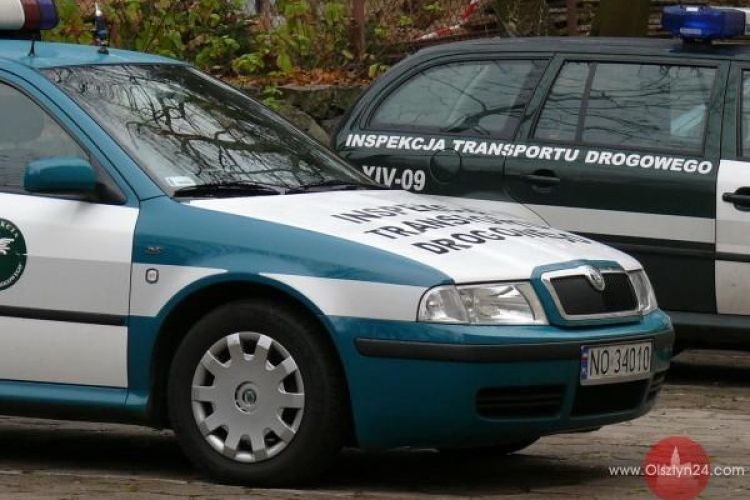 Uwaga na… „krokodyle”!