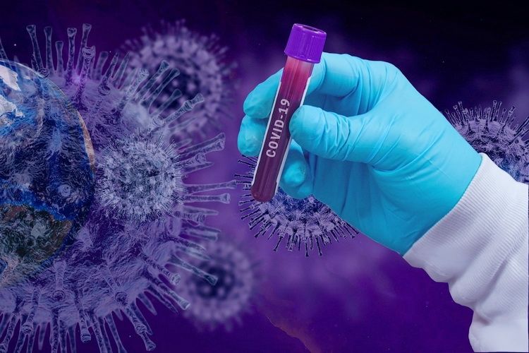 Płatne testy płytkowe na obecność przeciwciał przeciwko koronawirusowi SARS-CoV-2 dostępne w Olsztynie