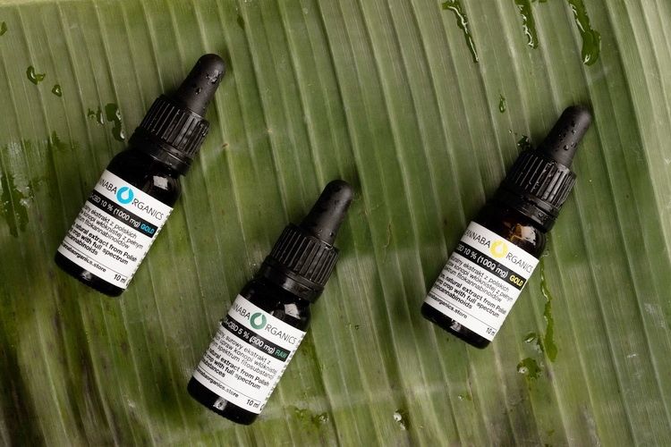 Olejek CBD - jaki wybrać?