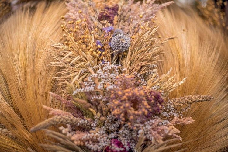 Wojewódzkie obchody święta plonów już jutro w olsztyneckim skansenie