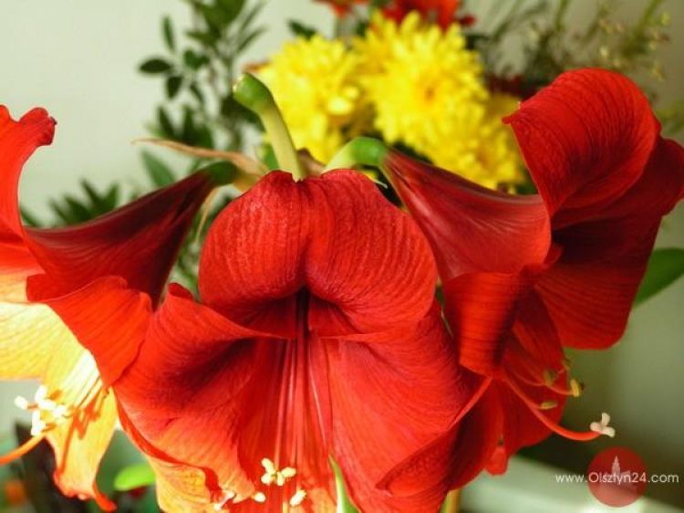 Najsmutniejszy tekst na dzień matki