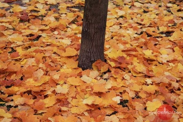 Szukamy miejsca dialogu 