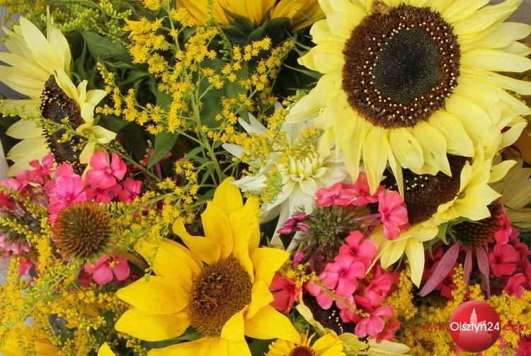 Targi z polotem w Dywitach