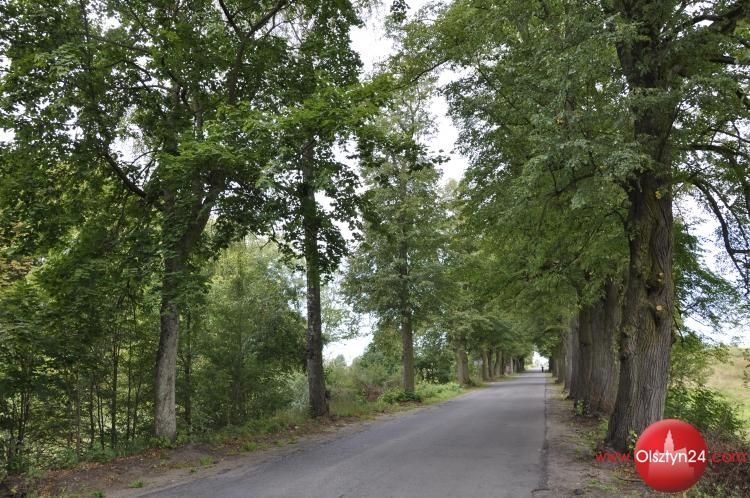 #sadziMy, niech Warmia się jeszcze bardziej zazieleni 
