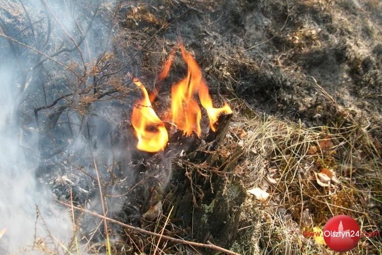 Strażacy i leśnicy apelują: stop pożarom traw!