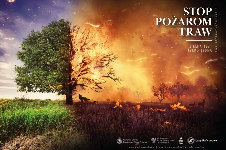 Strażacy apelują: nie wypalajmy traw!
