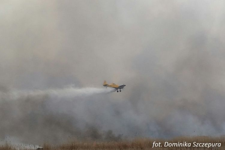 Port lotniczy Olsztyn-Mazury ratuje Biebrzański Park Narodowy