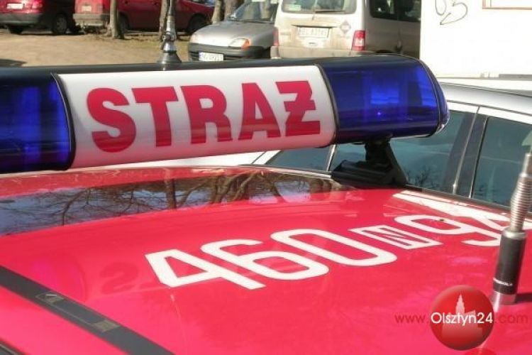 Katastrofy ekologicznej nie było